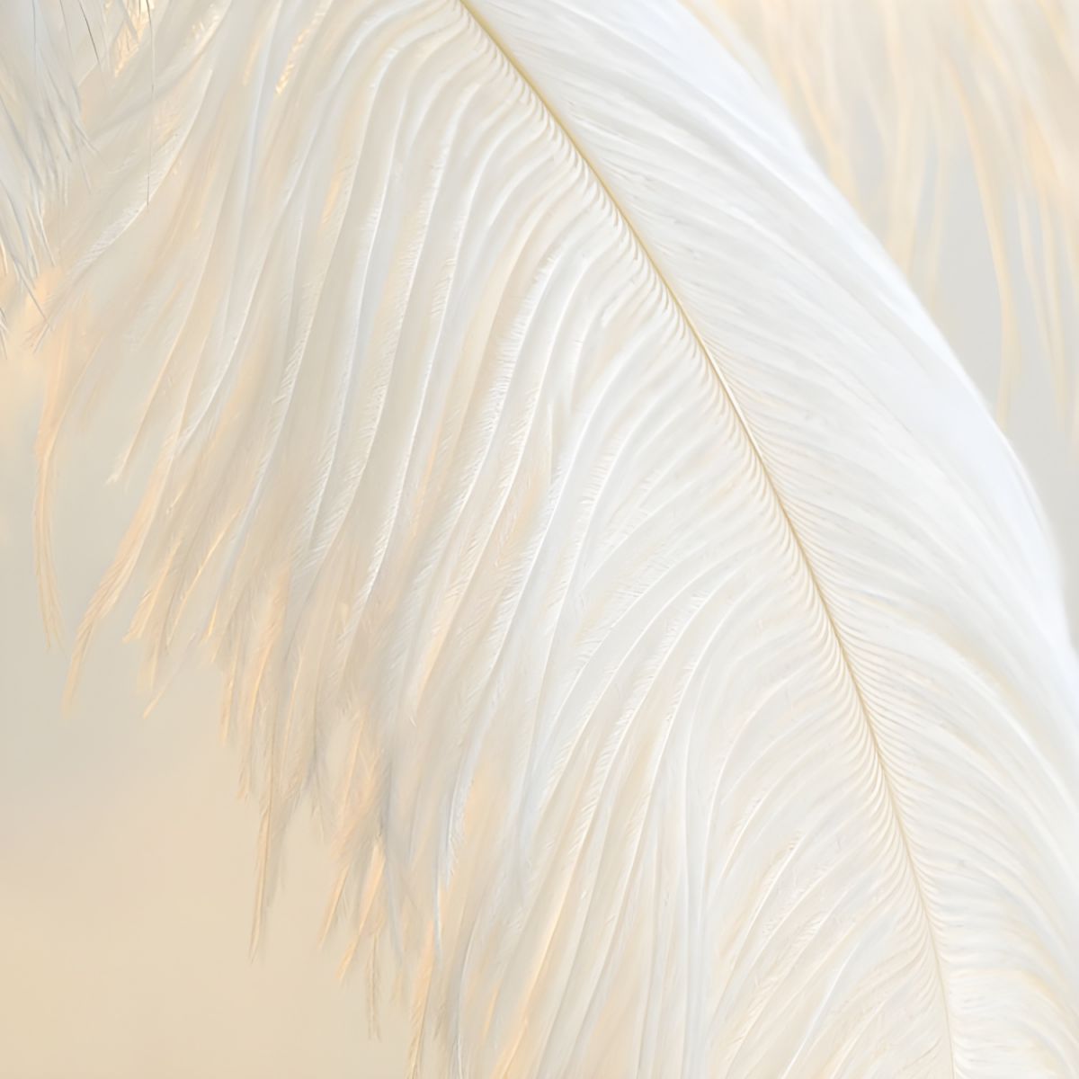 Yono Floor Table Lamp Ostrich Feathers Exclusive Nordic Luxury