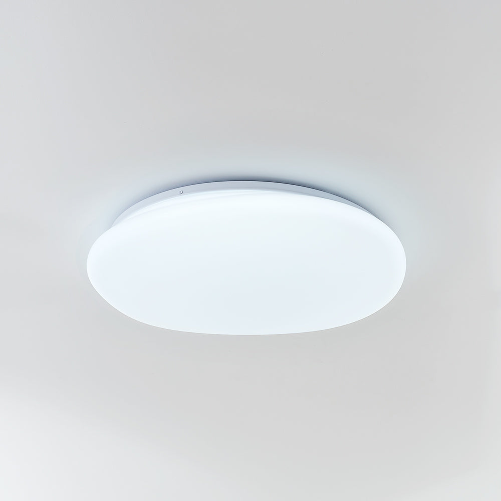 Soleil Flush Mount Ceiling Light Modern Pebble Shape Bedroom Living Room