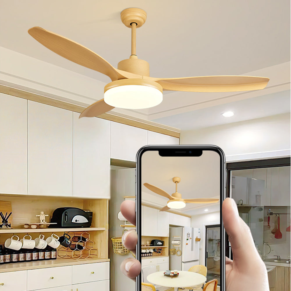 Haven Ceiling Fan With Light DC Basic 3 Blades Wood Living Room