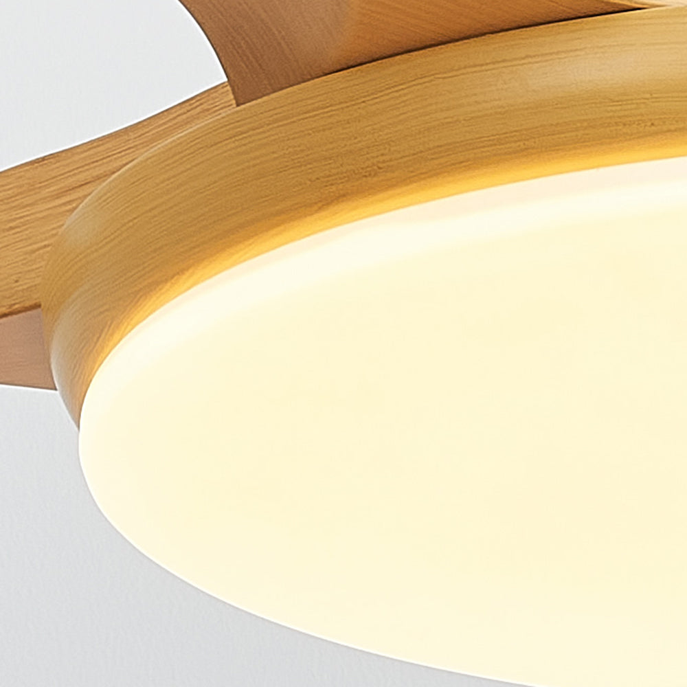 Haven Ceiling Fan With Light DC Basic 3 Blades Wood Living Room