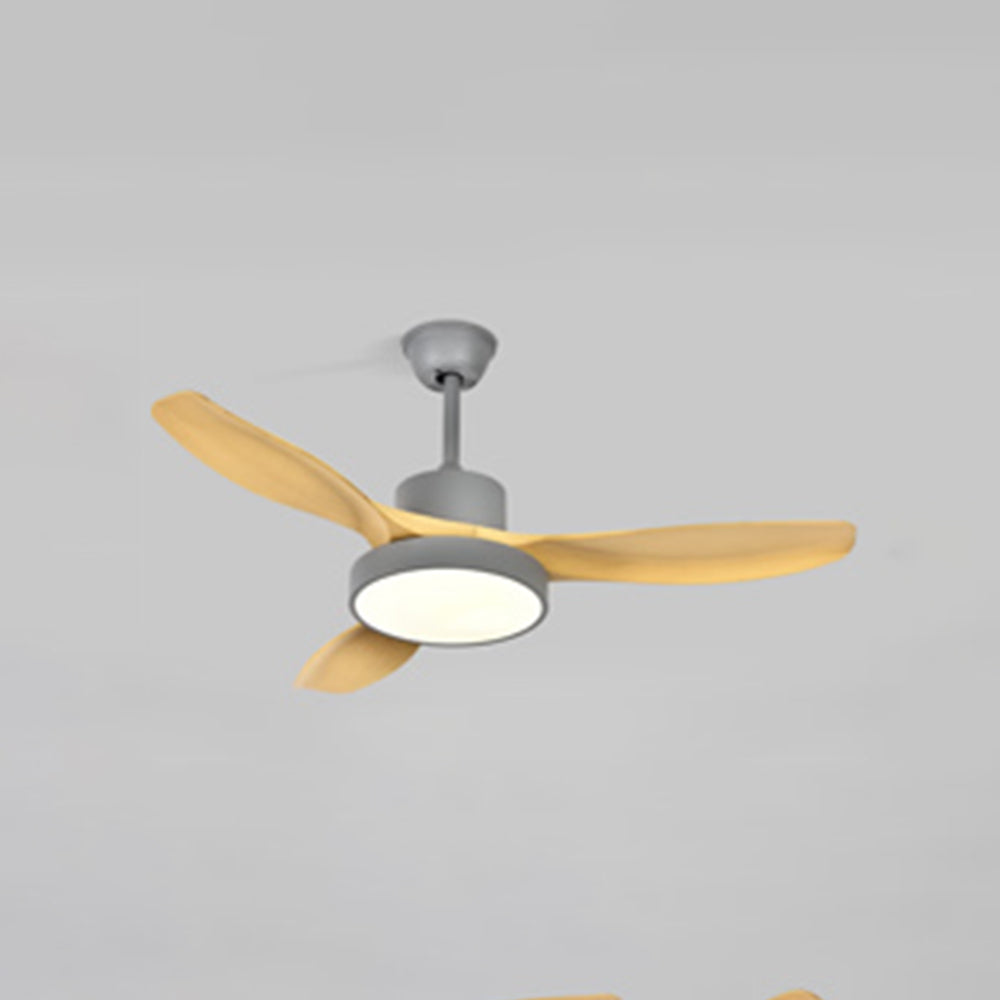Haven Ceiling Fan With Light DC Basic 3 Blades Wood Living Room