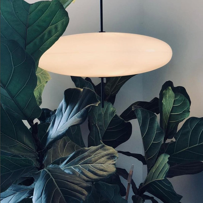 Elys Pendant Light Nordic Modern Single Oval Living Room Bedroom