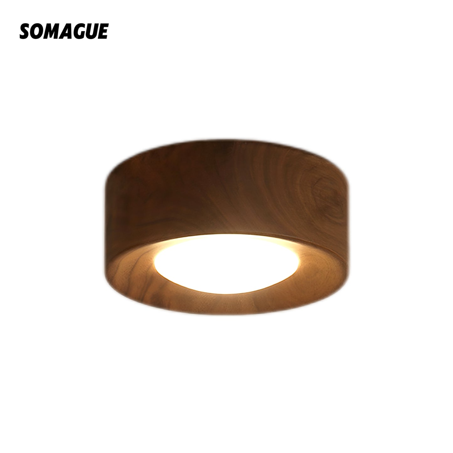 Mode Ceiling Light Vintage Embedded Walnut Living Room Pathway